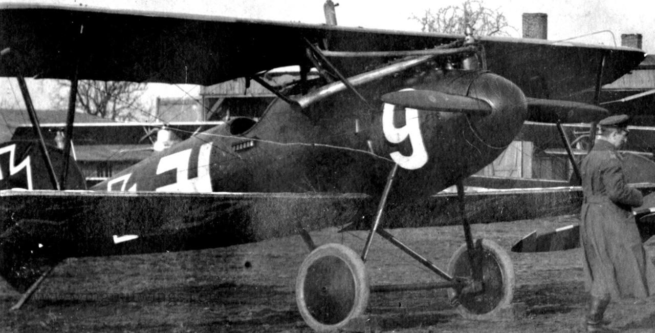 Wingnut Wings - 1/32 Albatros D.Va 'Black Beauties' decals